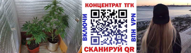 Дистиллят ТГК Wax  где продают   Певек 