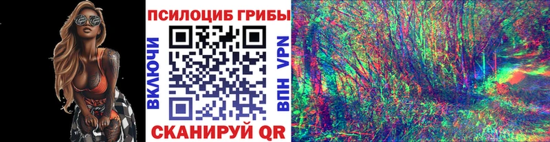 МЕГА ссылка  Певек  Галлюциногенные грибы Cubensis 